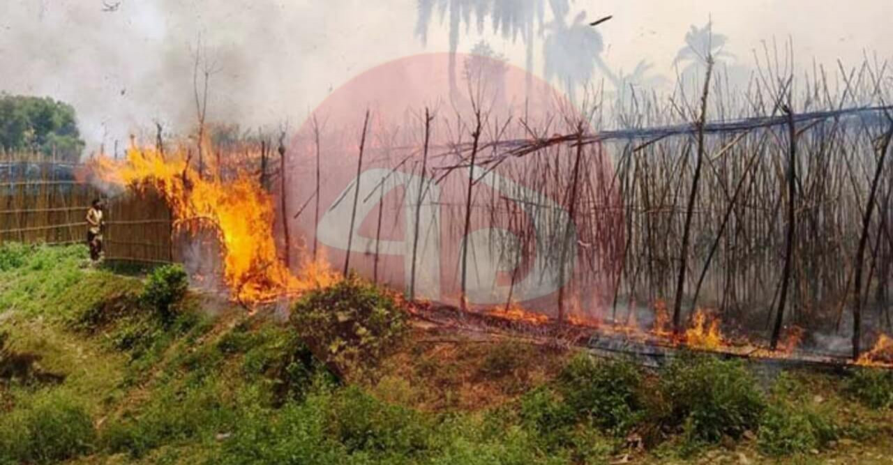৮বিঘা জমির পানের বরজ পুড়ে ছাই