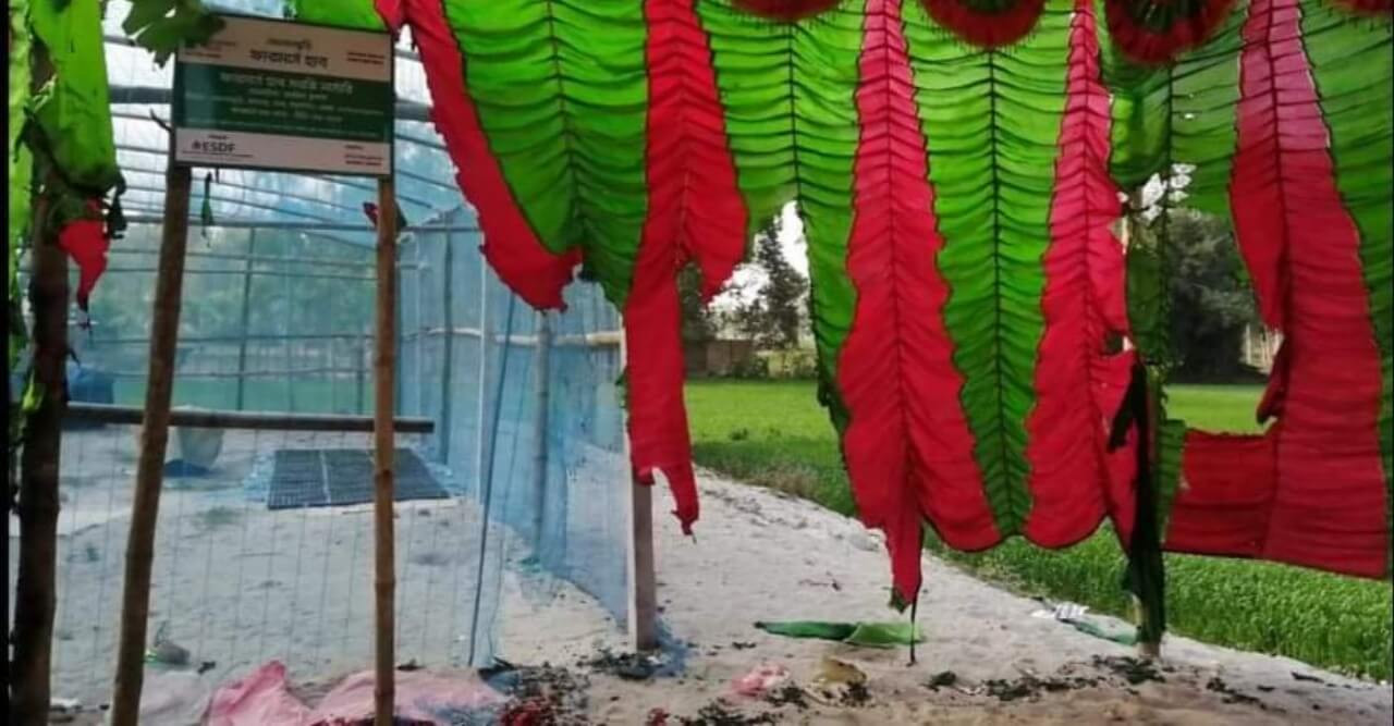 ঠাকুরগাঁওয়ে সেনুয়া ইউনিয়নে নৌকার অফিসে আগুন