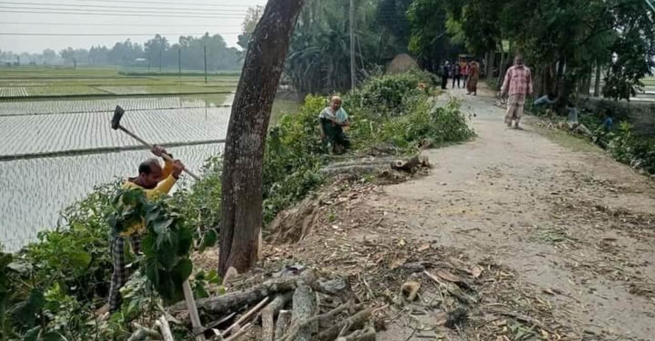 সরিষাবাড়ী উপজেলা প্রকৌশলী অফিসের সুপারভাইজারের বিরুদ্ধে রাস্তার গাছ বিক্রির অভিযোগ