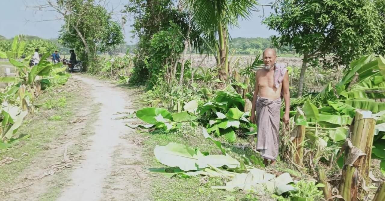 শত্রুতার জেরে লোহাগড়ায় কৃষকের পাঁচ শতাধিক গাছ কর্তন!