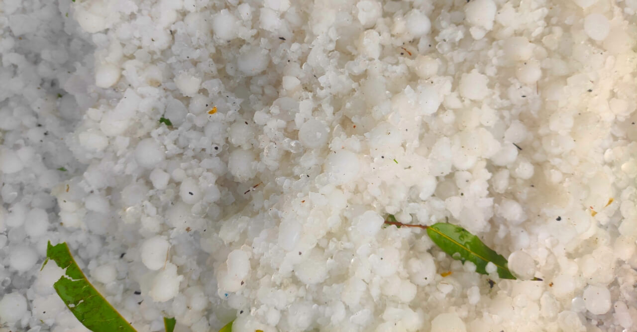 ঠাকুরগাঁওয়ে হটাৎ শিলা বৃষ্টি