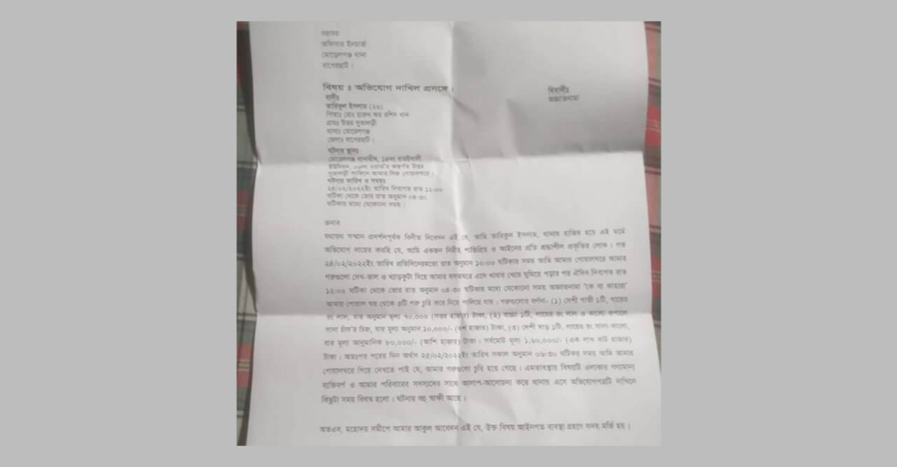 মোরেলগঞ্জে এক রাতে ৩টি গরু চুরি, দেড় লাখ টাকার ক্ষতি কৃষকের