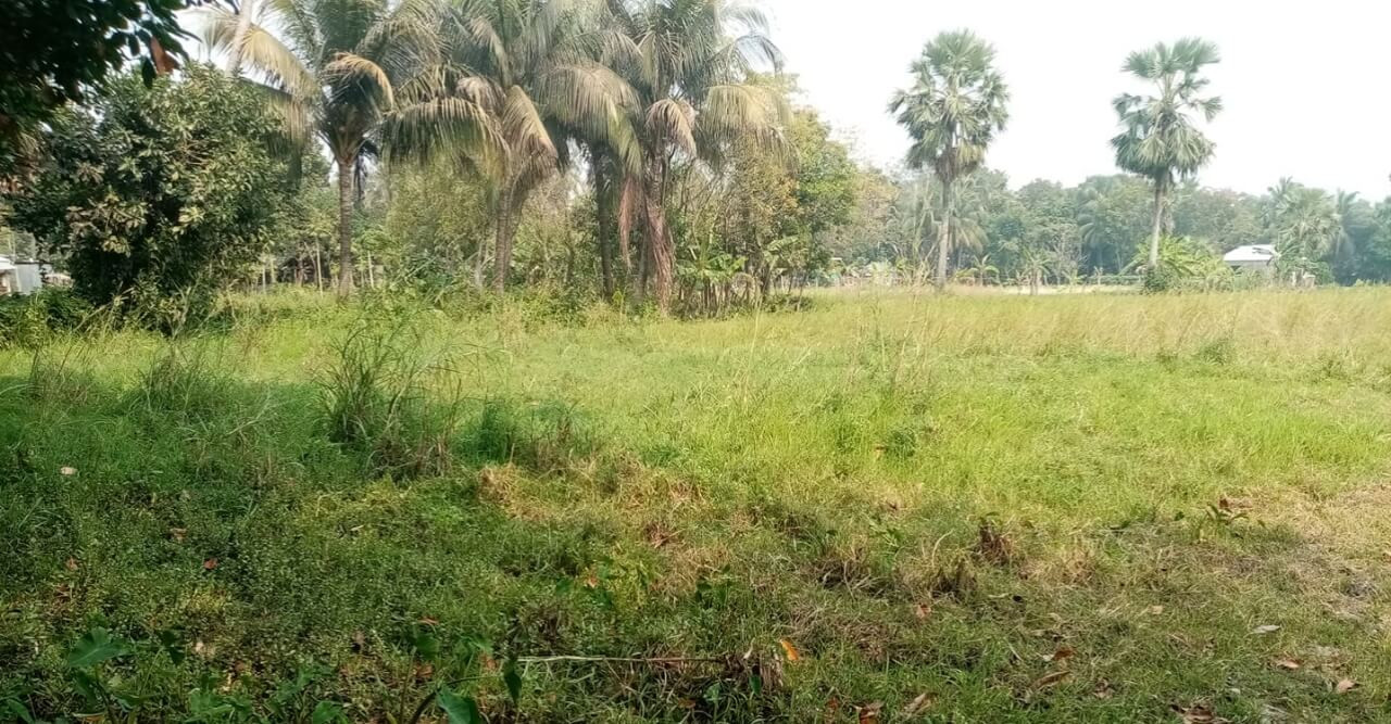 জমি দখল করতে আসার ভয়ে আতংকে দিন কাটছে ৪০টি পরিবারের