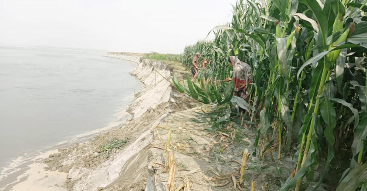 সুন্দরগঞ্জে তিস্তা ভাঙনে দশ বছরে চার হাজার পরিবার বাস্তহারা