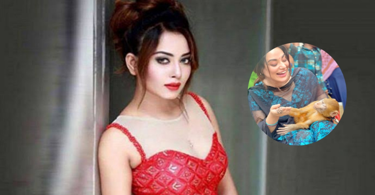 বানরের কামড়ে আহত হয়ে হাসপাতালে তমা মির্জা