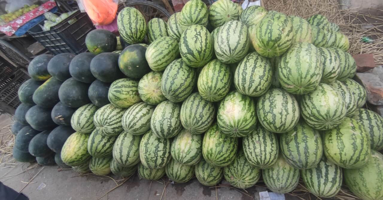 ঠাকুরগাঁওয়ে আগাম তরমুজের দাম ক্রেতার সাধ্যের বাইরে