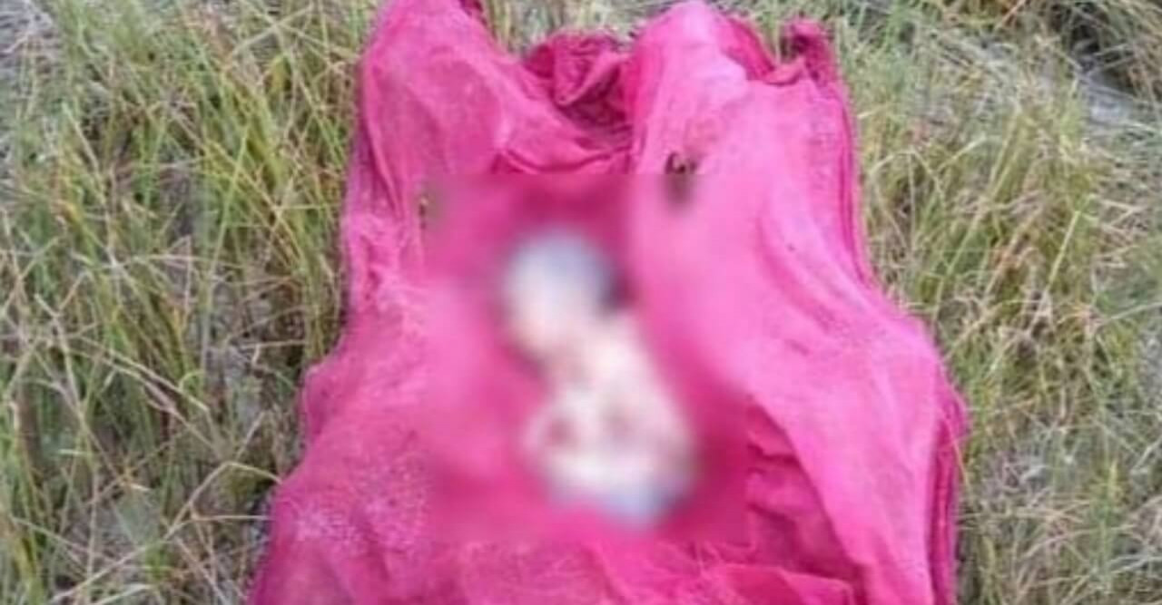 পাথরঘাটায় চর থেকে মরাদেহো উদ্ধার