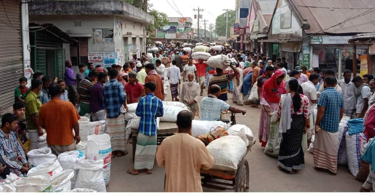 গুরুদাসপুরে রসুনের দাম নিয়ে বিপাকে চাষীরা