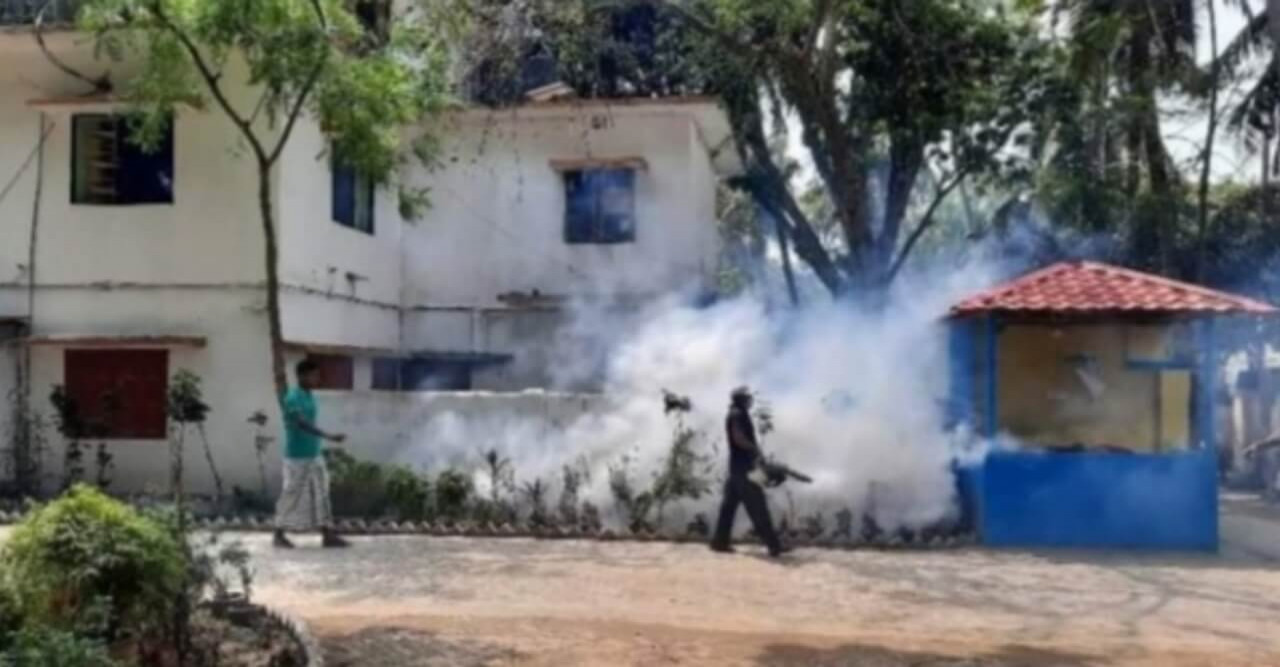 দুর্গাপুর পৌর এলাকায় মশক নিধন অভিযান শুরু হয়েছে