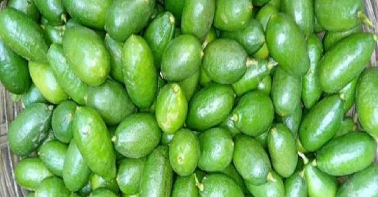ঠাকুরগাঁওয়ে দুই কেজি আলুর দামে এক হালি লেবু