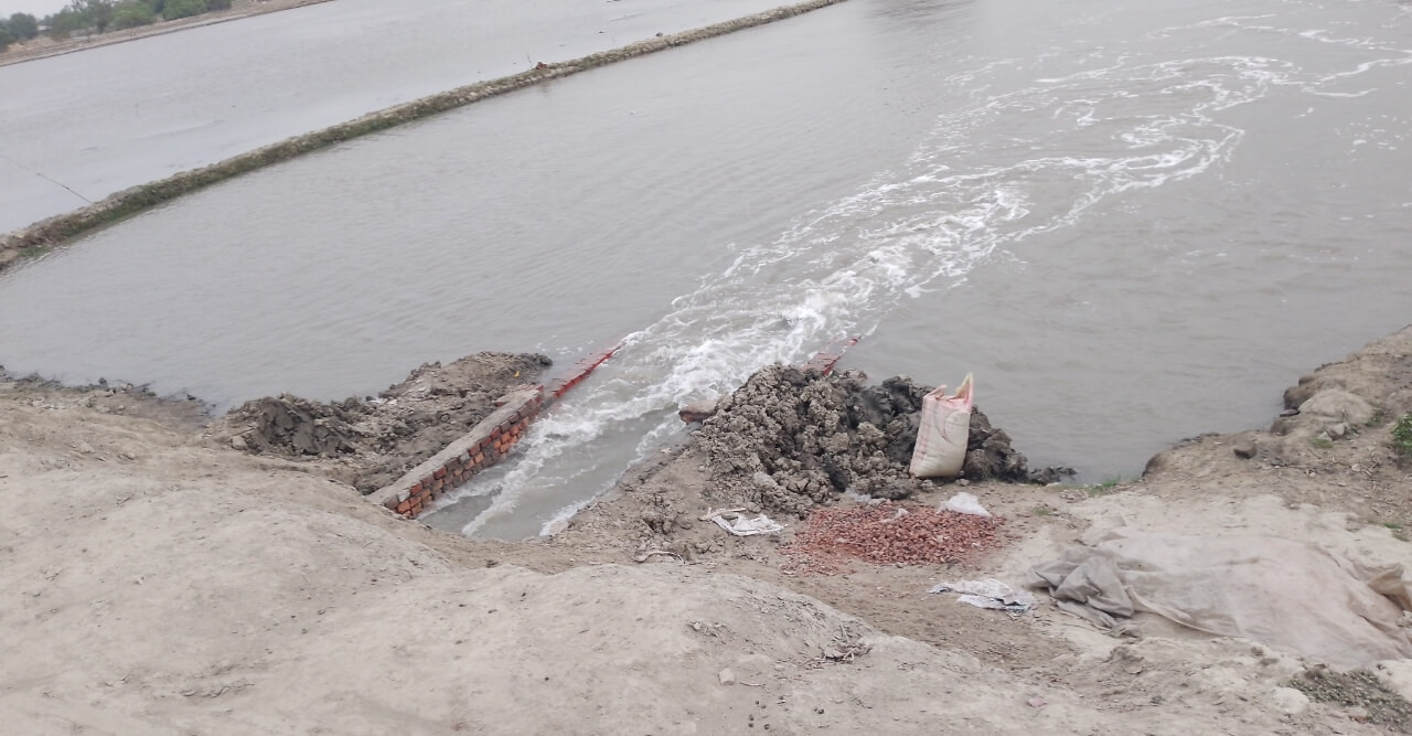 বেড়িবাঁধ ছিদ্র করেই উঠানো হচ্ছে নোনা পানি, দূর্ভোগে হাজার হাজার পরিবার