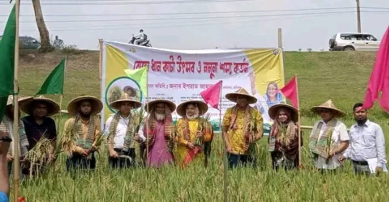 বানিয়াচংয়ে বোরো ধান কাটা উৎসব অনুষ্টিত