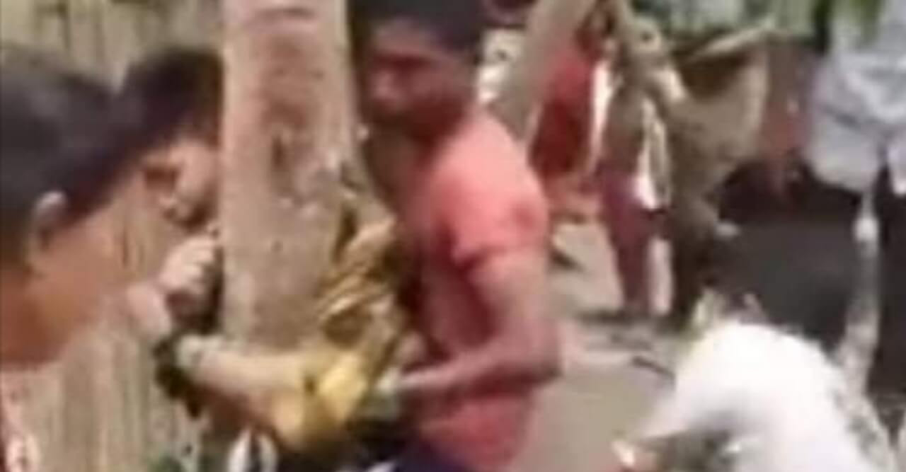 লোহাগড়ায় ছাগল চুরির অভিযোগে দুই শিশুকে নির্যাতন
