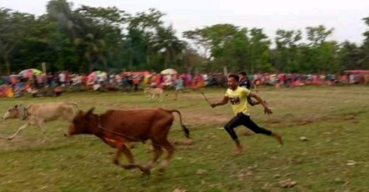 নববর্ষ উপলক্ষ্যে ঐতিহ্যবাহি গরুর দৌড় প্রতিযোগিতা অনুষ্ঠিত ।