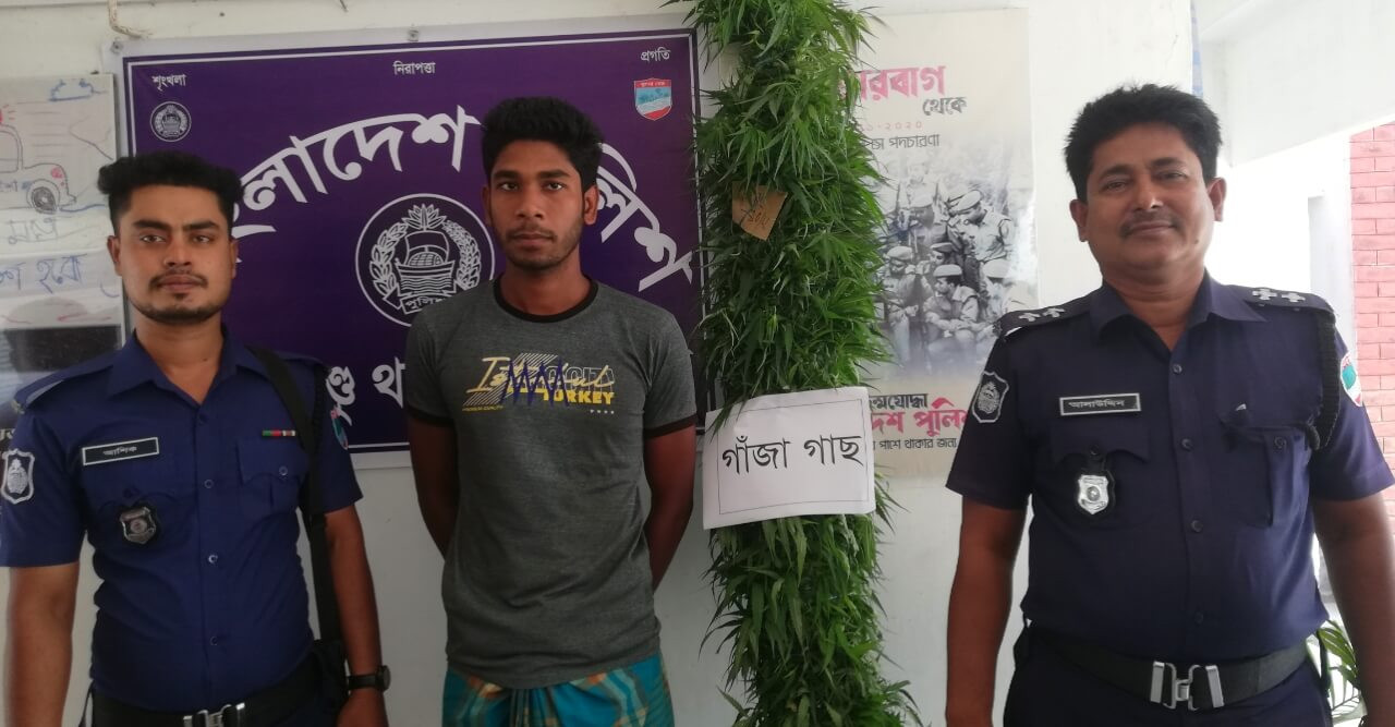 হরিণাকুণ্ডুতে গাজাসহ আটক ১