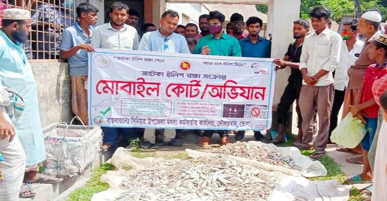 দৌলতখানে বিপুল পরিমাণ জাটকা ইলিশ জব্দ